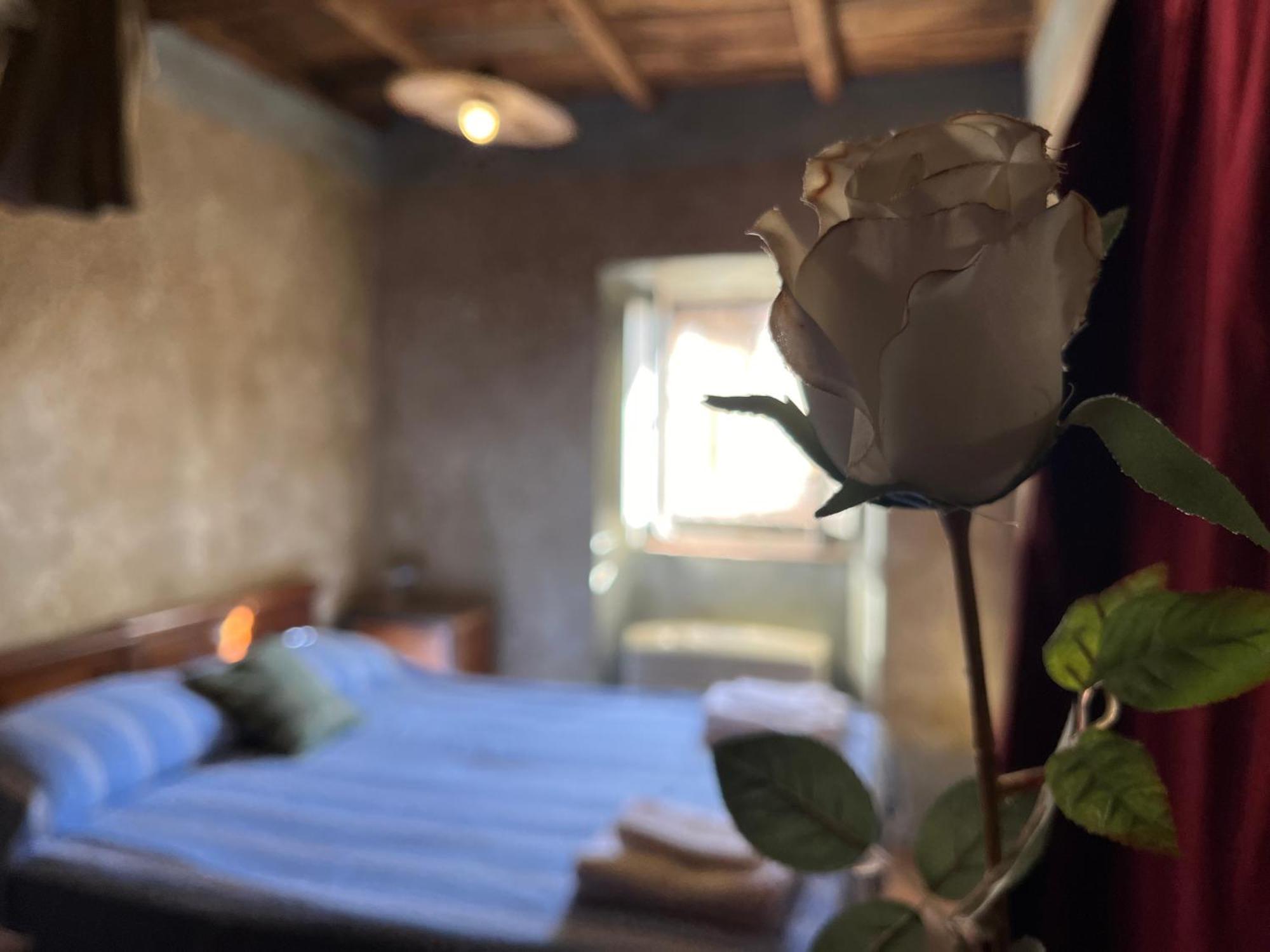 La Preta Nera Bed & Breakfast Giuliano di Roma Exterior photo